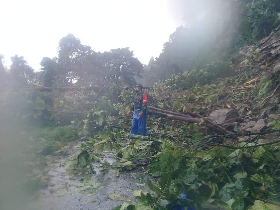 Bukit Wailulu Longsor, Tutup Bahu Jalan Nasional Telutih Tehoru - Koran