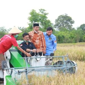 Ikut Panen di Seluma, Menteri Pertanian RI Pastikan Bengkulu Jadi Lumbung Padi Nasional