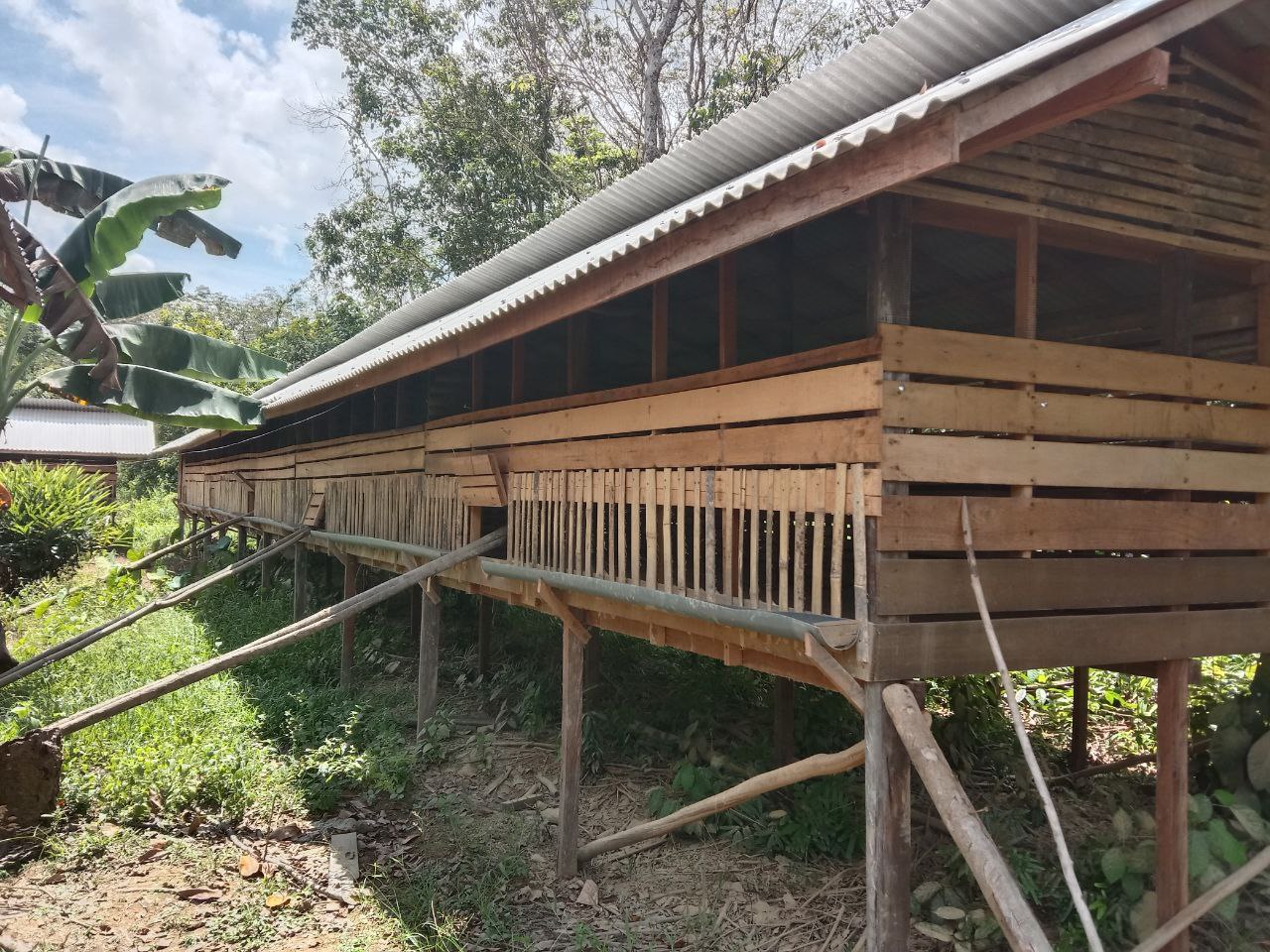 Dana Bantuan Kementerian KLHK : Desa Mantangai Hilir Hanya Terlihat Bangunan Kandang Ternak Ayam