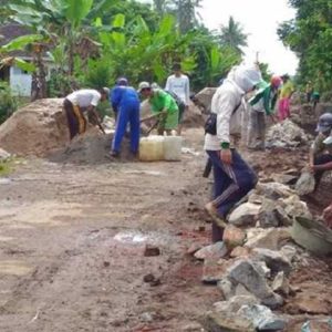 Kalsel Prioritaskan Dana Desa Untuk Penanganan COVID-19 dan Perbaikan Infrastruktur