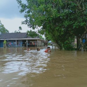 Aktivitas Lumpuh Total, Banjir Landa 8 Desa di Kecamatan Pasak Talawang, Ini Penjelasannya